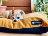 NRDOGS Basic Magic Dog Bed - Pelech Okrovej Farby - Pupple -