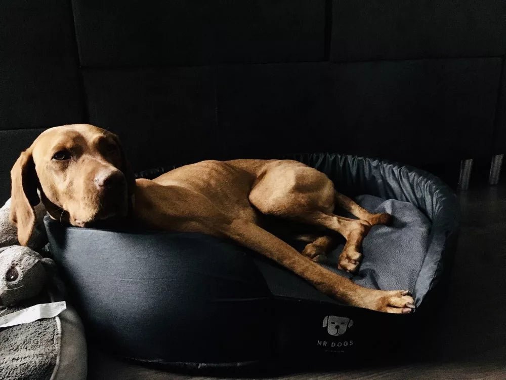 NRDOGS Edged Dog Bed Soft Magic Grey - Pupple -